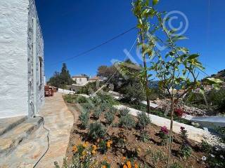 Garden Residence, Terracing and garden with sea view.