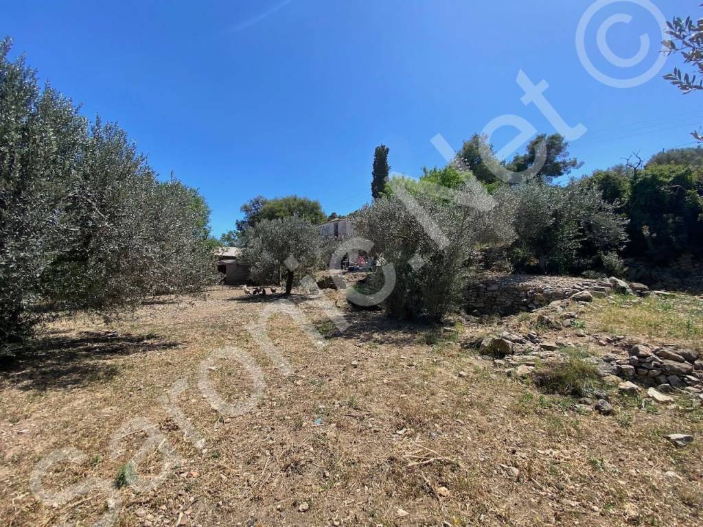 Olive trees on 2800 m2 plot. Useful building stone on site.