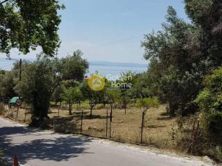 Koinochrestos CHoros