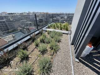 Forumland Real Estate, roof garden