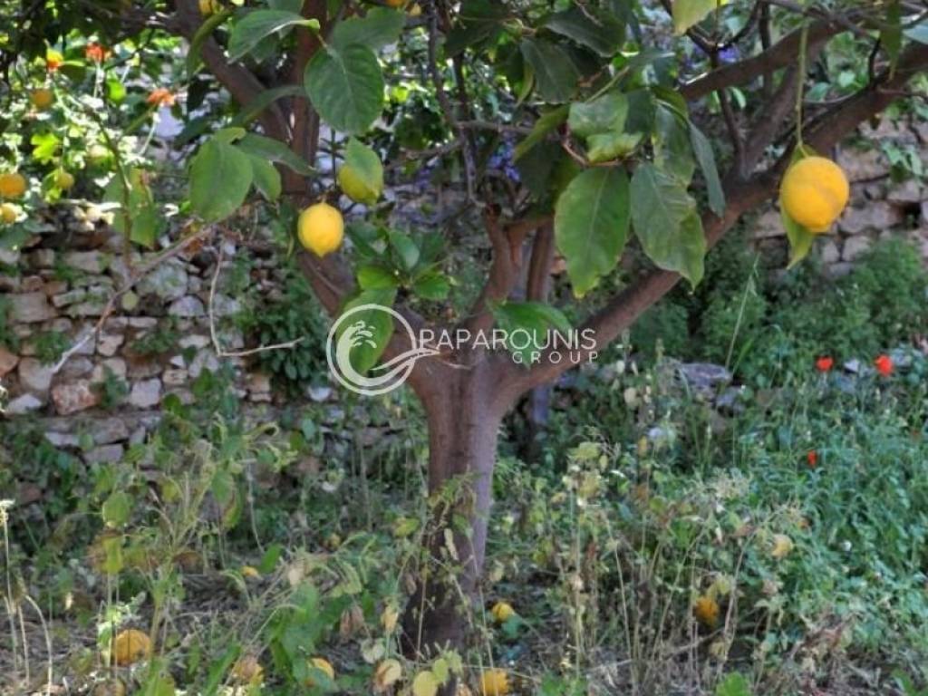 Ύπαρξη ανθρώπου