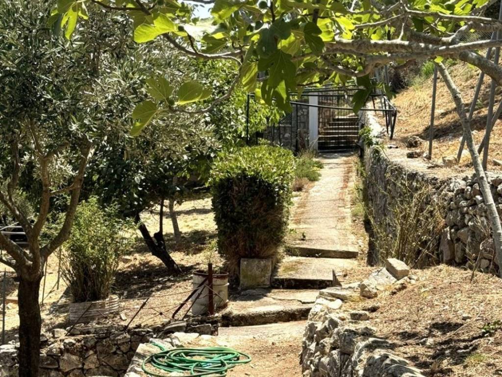 Path from the front gate to the house