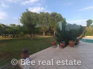 Άποψη εξωτερικού χώρου