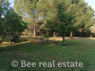 Άποψη εξωτερικού χώρου