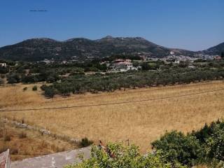 ΠΩΛΗΣΣΗ  ΜΙΚΡΩΝ ΚΑΙ  ΜΕΓΑΛΩΝ 
 ΕΚΤΑΣΕΩΝ  ΣΕ ΟΛΗ ΤΗ ΣΑΜΟ ΑΠΟ