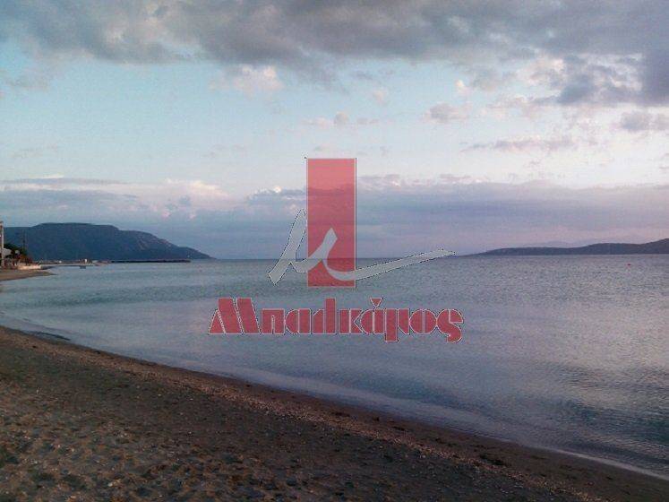 καταπληκτικές παραλίες με κρυστάλινο νερό λόγω της κίνησης του φαινόμενου της παλίρροιας