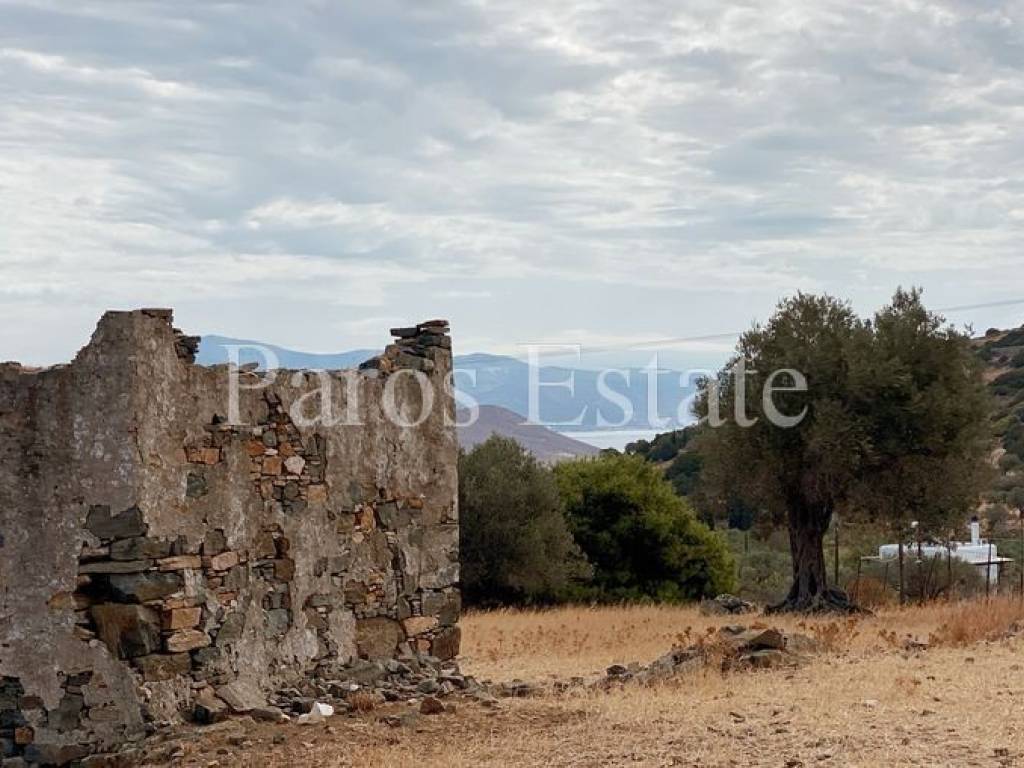 Αγροτεμάχιο