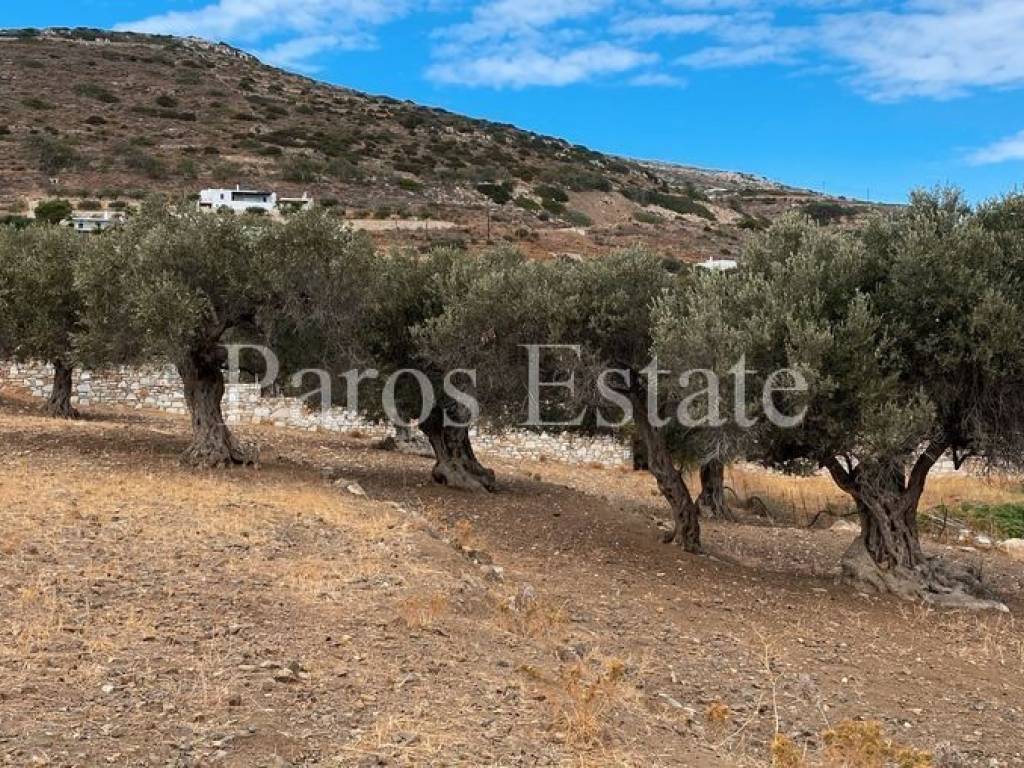 Αγροτεμάχιο