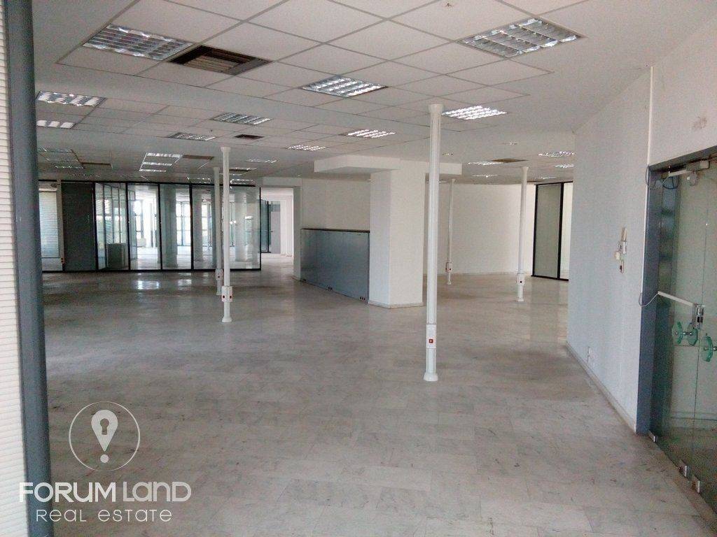 Forumland Real Estate, Επαγγελματικός χώρος