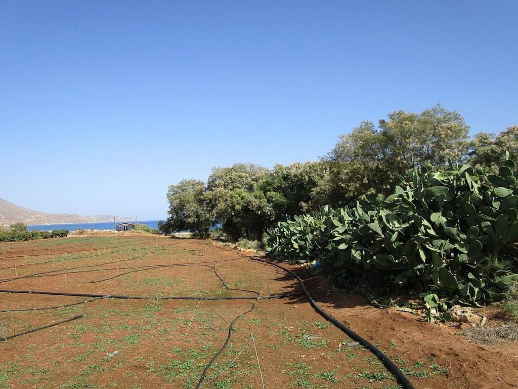 Ktimatoemporiki Land for sale in Kissamos Chania