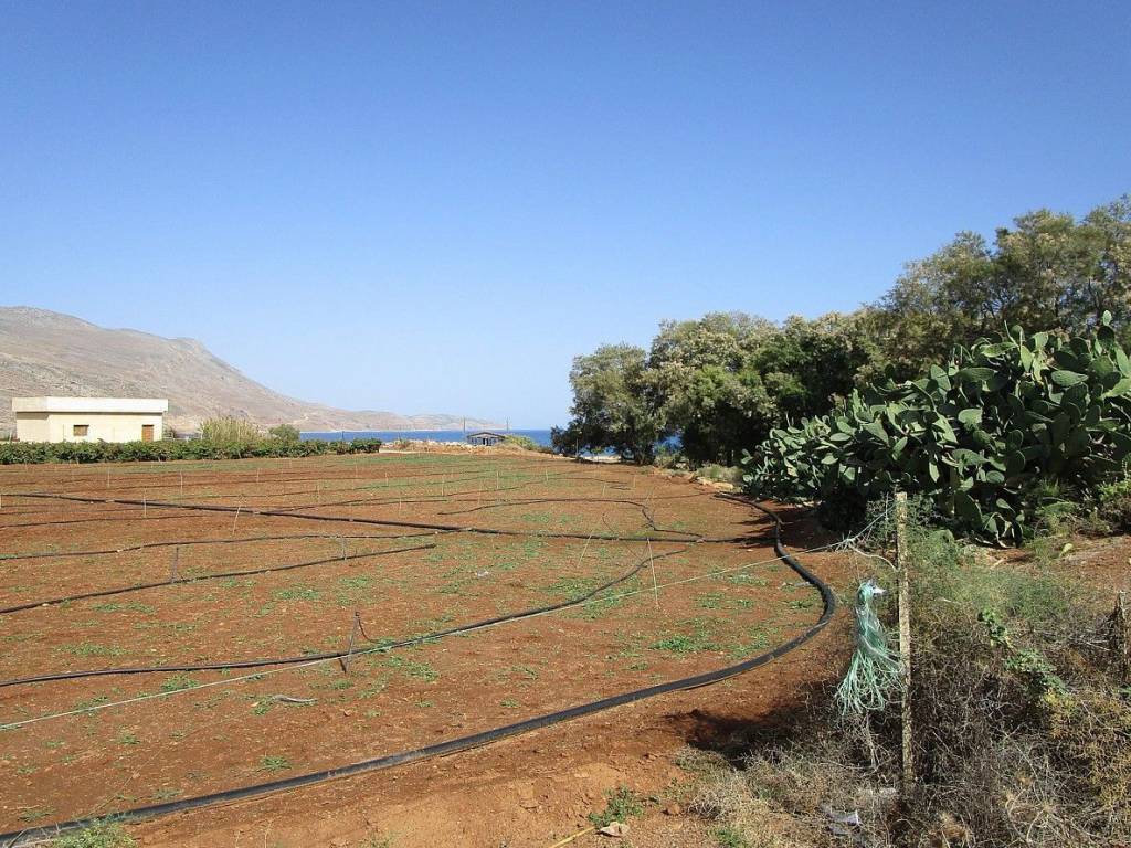 Ktimatoemporiki Land for sale in Kissamos Chania