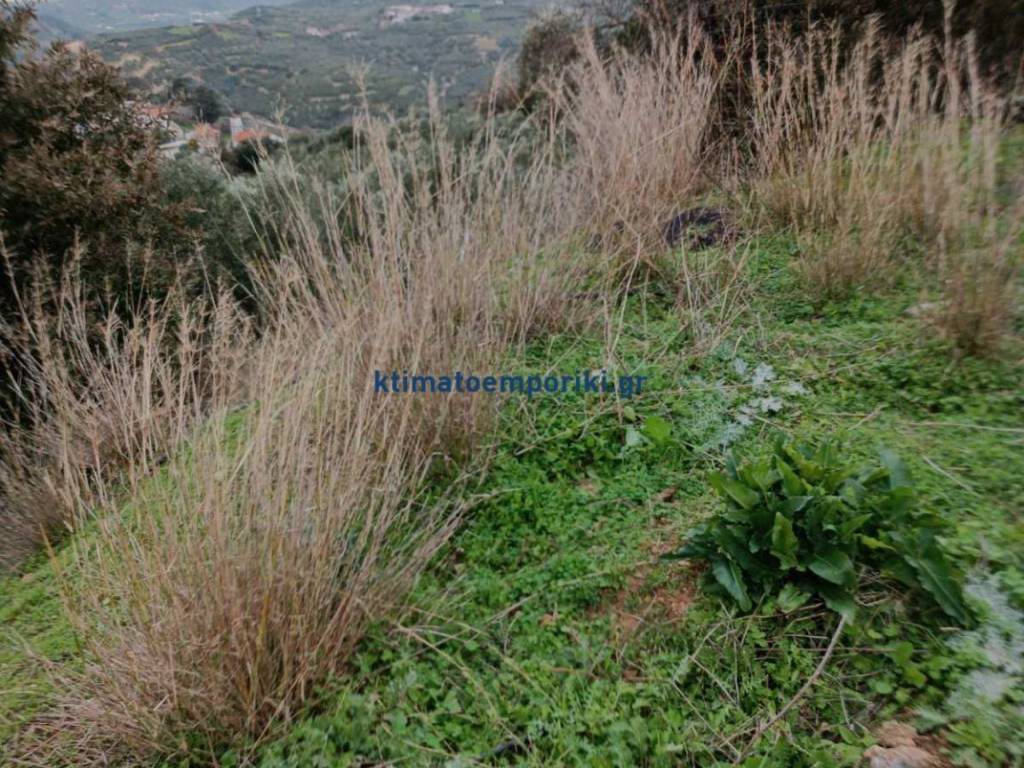 Εξωτερικοι χώροι