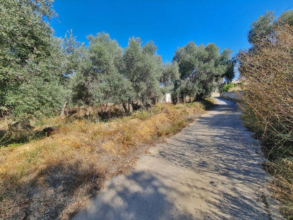 Plot for sale in Daratso