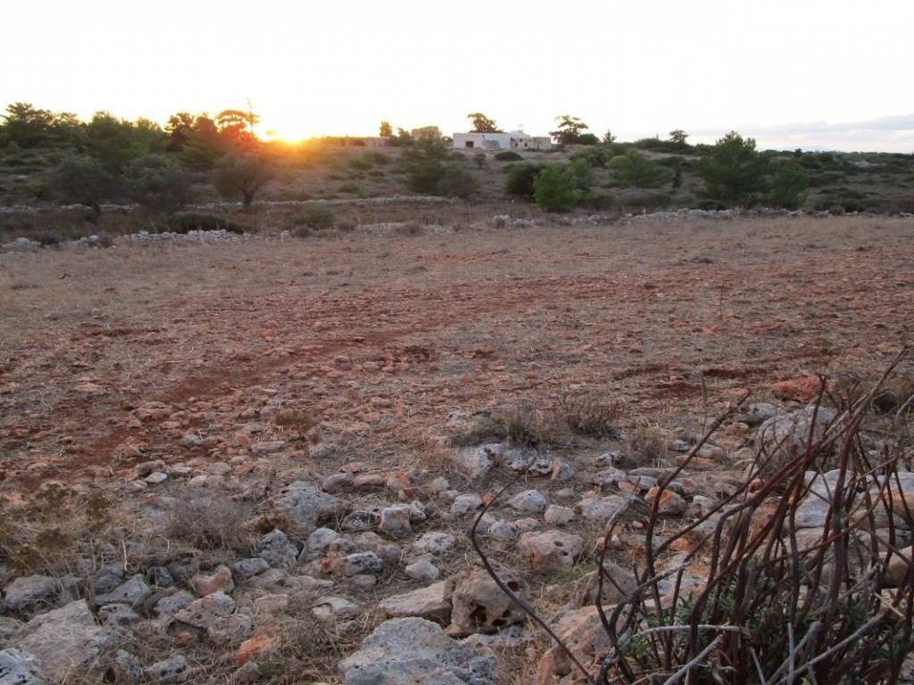 Ktimatoemporiki Land for sale in Sternes Akrotiri Chania