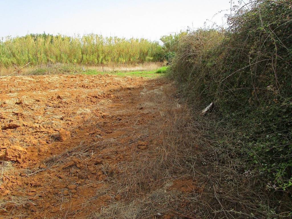 Ktimatoemporiki Land for sale in Maleme Chania