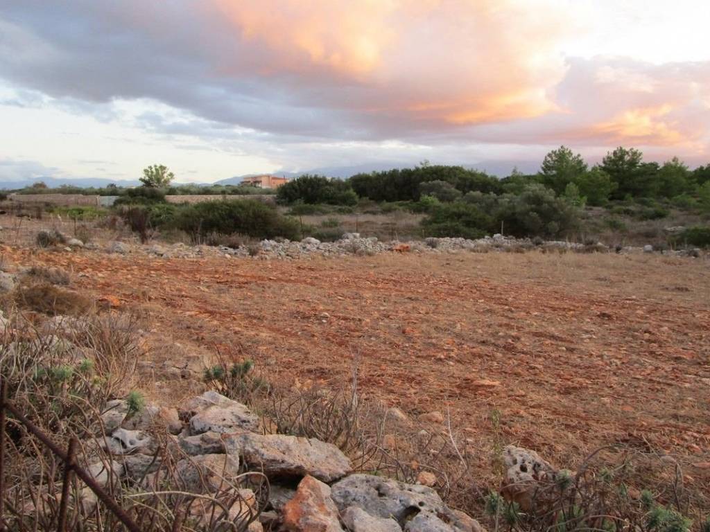 Ktimatoemporiki Land for sale in Sternes Akrotiri Chania