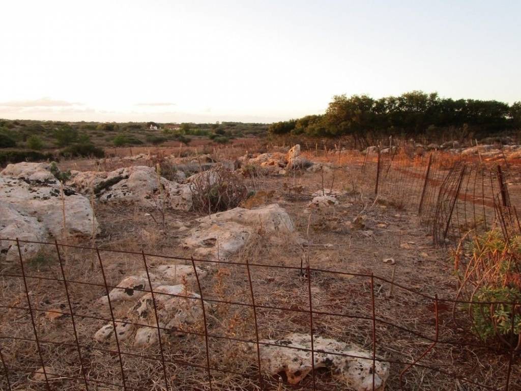 Ktimatoemporiki Land for sale in Sternes Akrotiri Chania