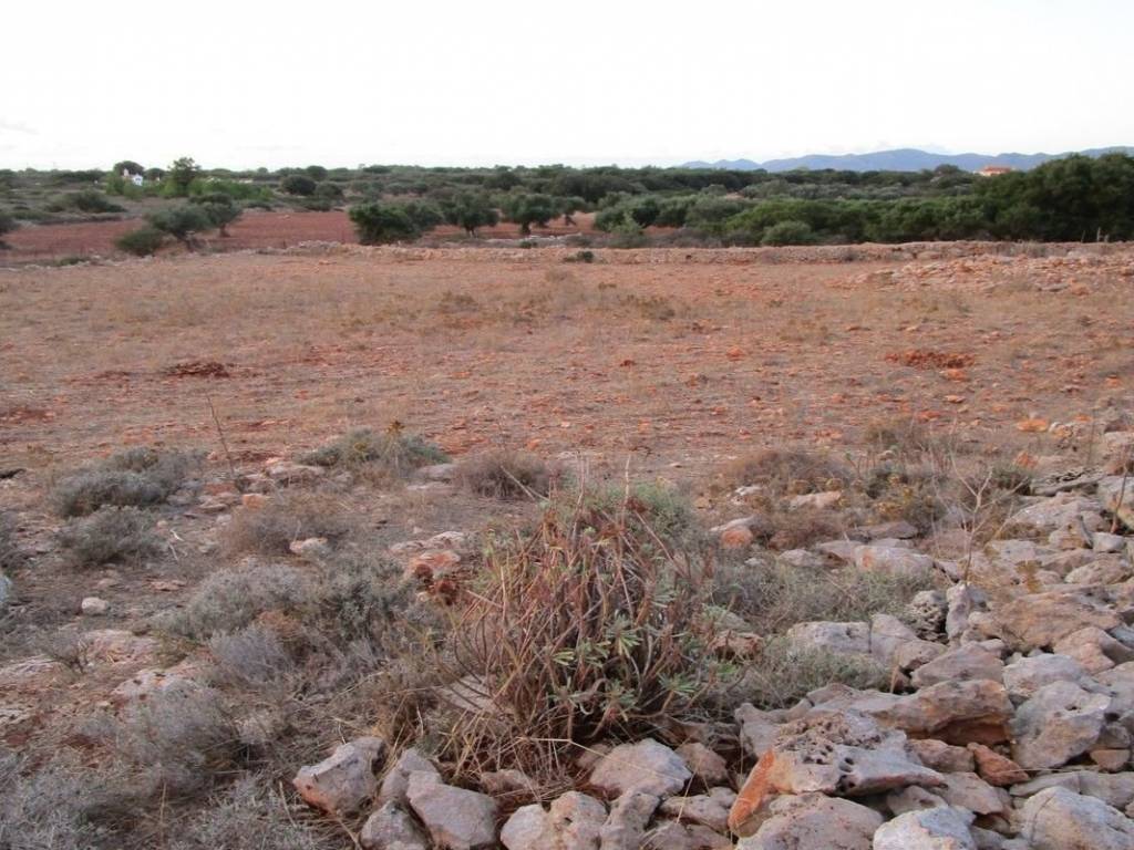 Ktimatoemporiki Land for sale in Sternes Akrotiri Chania