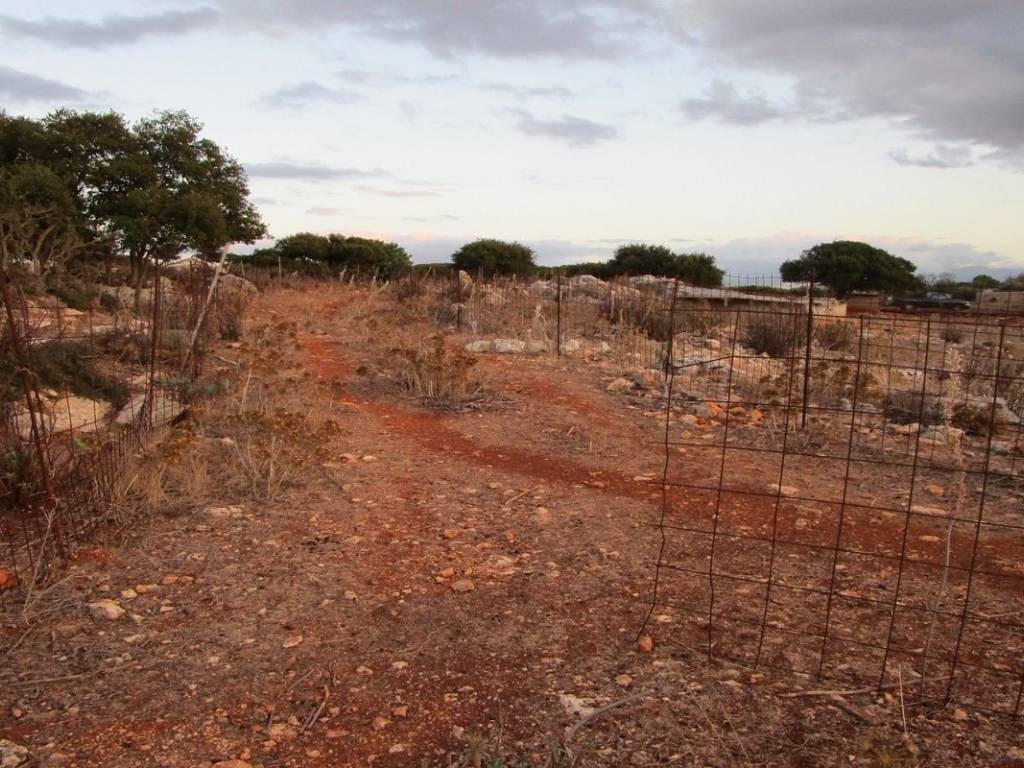 Ktimatoemporiki Land for sale in Sternes Akrotiri Chania