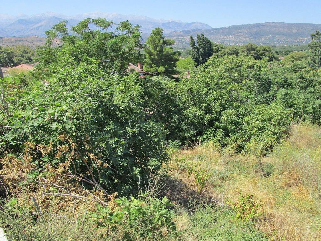 Ktimatoemporiki Plot for sale in Armenoi Apokoronas