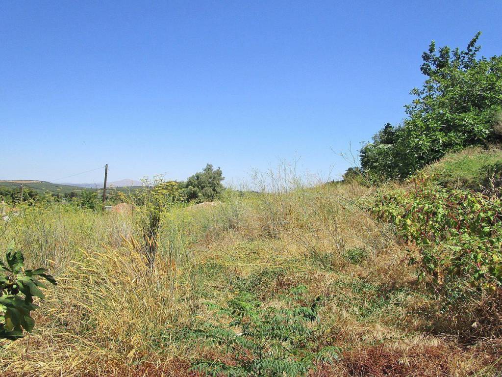 Ktimatoemporiki Plot for sale in Armenoi Apokoronas