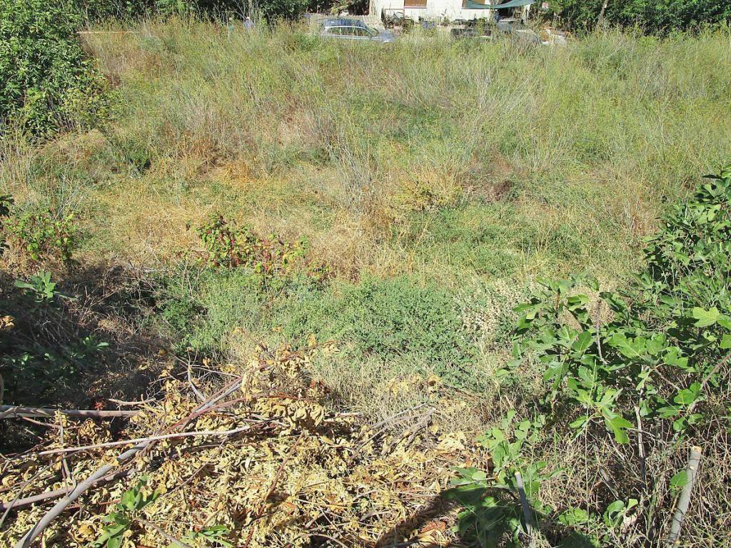 Ktimatoemporiki Plot for sale in Armenoi Apokoronas