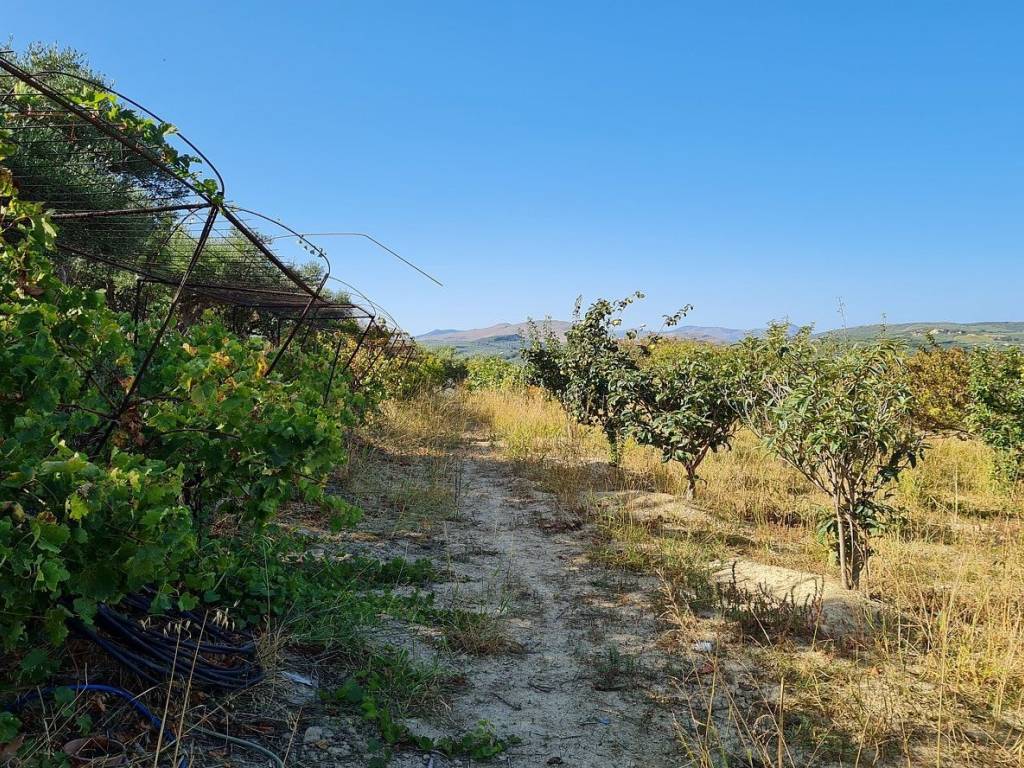 Ktimatoemporiki Plot for sale in Vouves Kolymbari