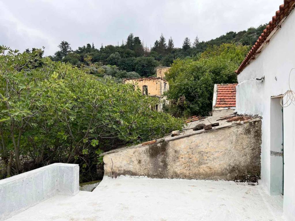 Detached old stone house for sale in Pemonia