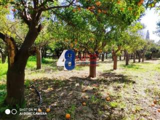 οικόπεδο Σπηλάδια