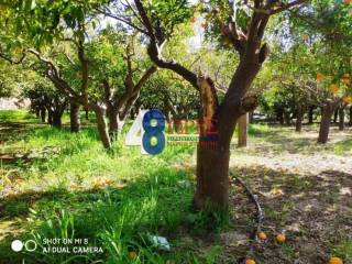 οικόπεδο Σπηλάδια