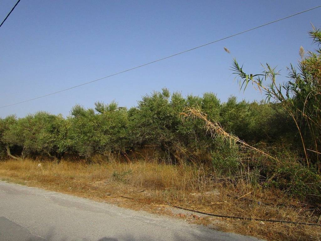 Ktimatoemporiki Plot for sale in Tavronitis Chania