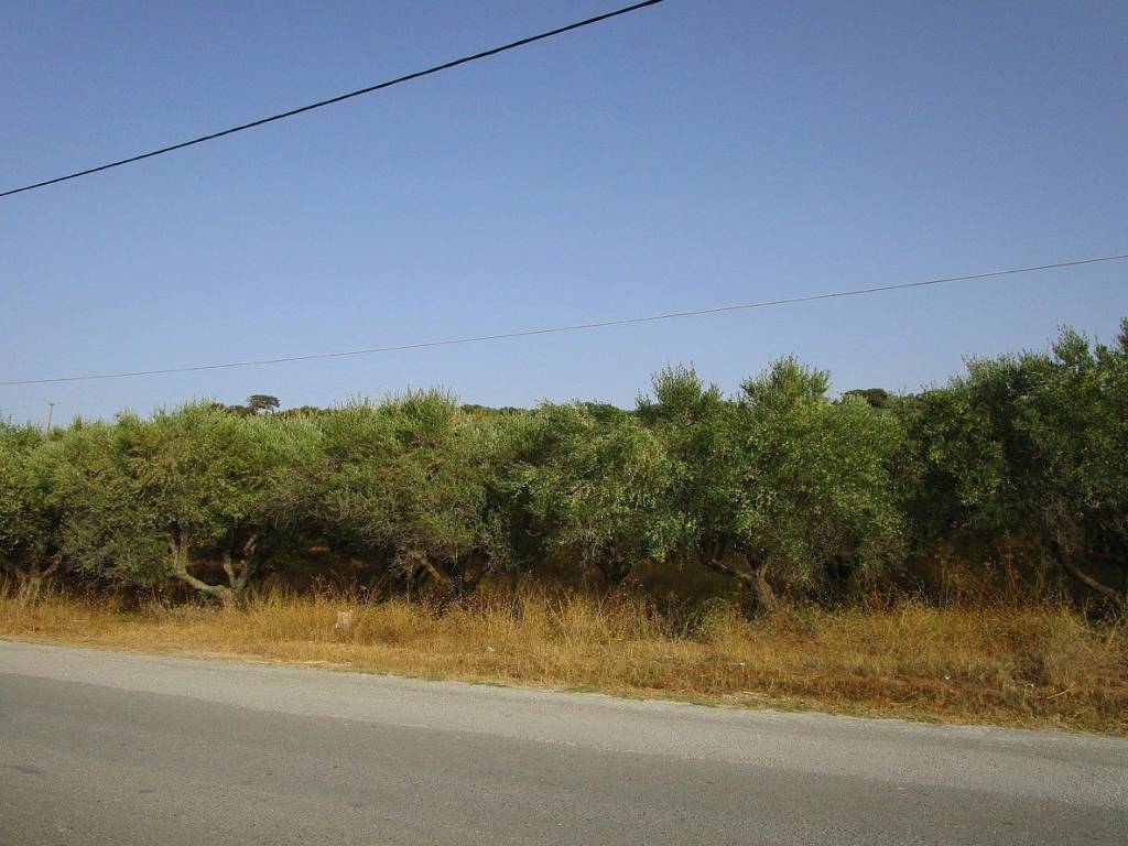 Ktimatoemporiki Plot for sale in Tavronitis Chania