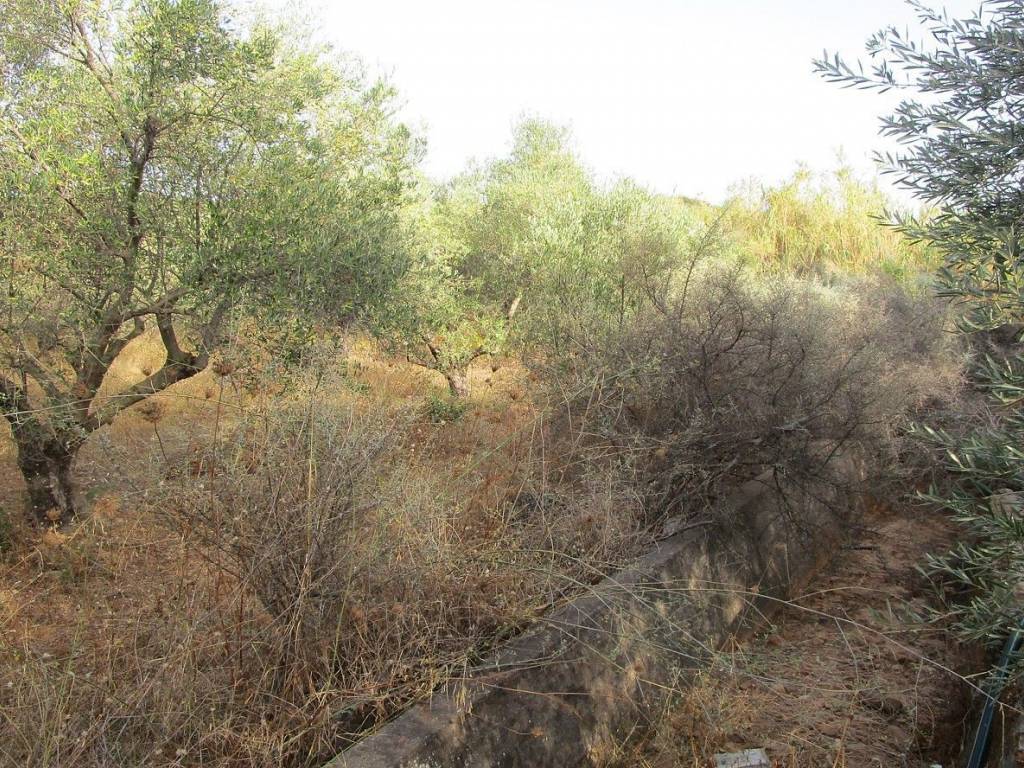 Ktimatoemporiki Plot for sale in Tavronitis Chania