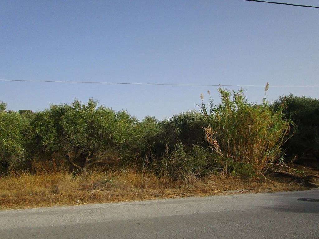 Ktimatoemporiki Plot for sale in Tavronitis Chania