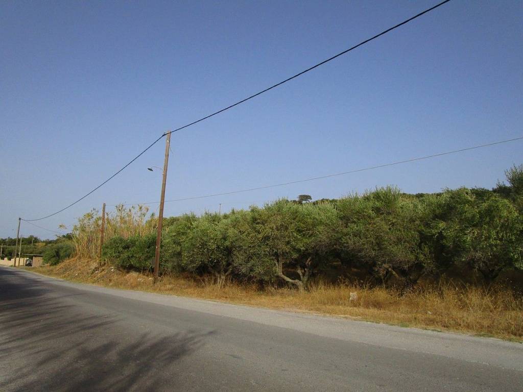 Ktimatoemporiki Plot for sale in Tavronitis Chania