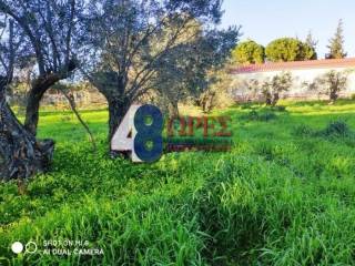 οικόπεδο Χαλκειός