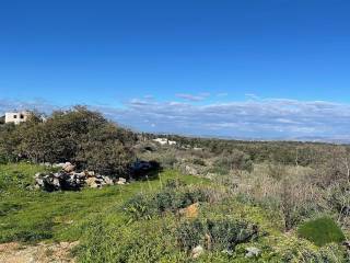 Ktimatoemporiki Land for sale in Sellia Apokoronas