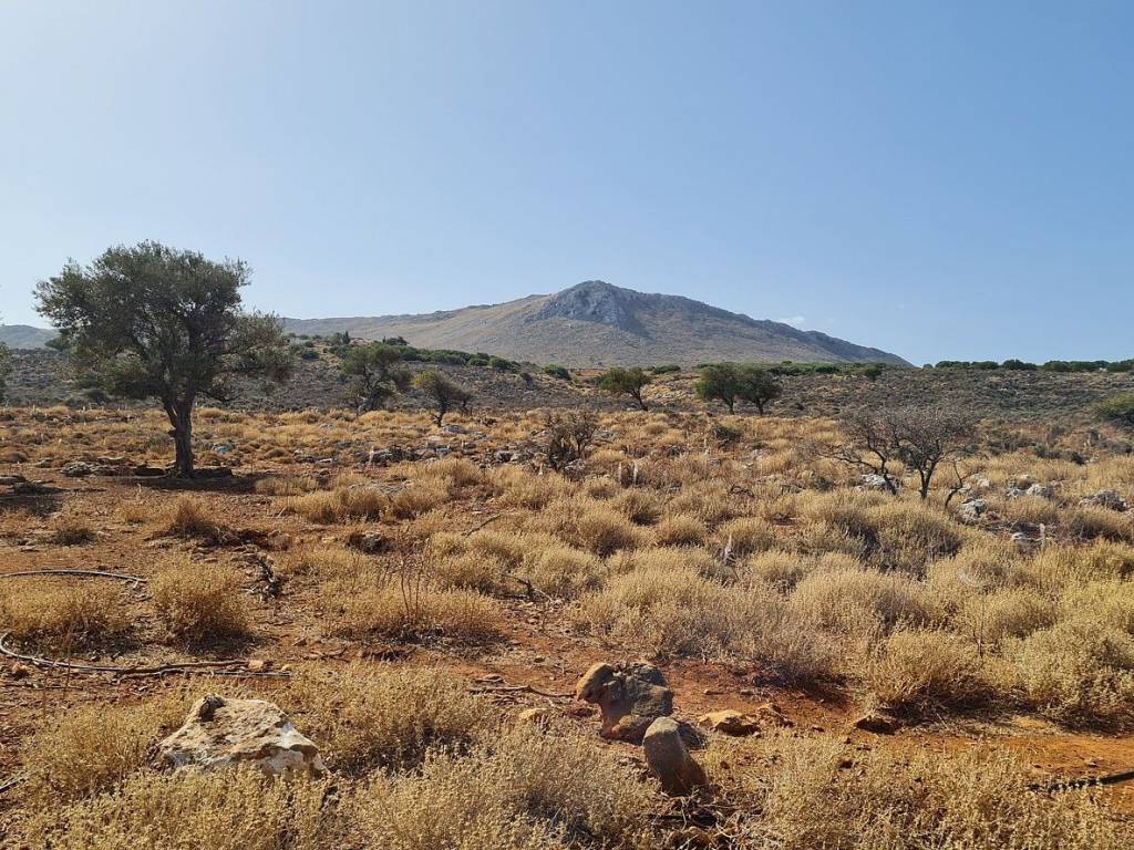 Ktimatomeporiki Huge Land in Kokkino Chorio Apokoronas