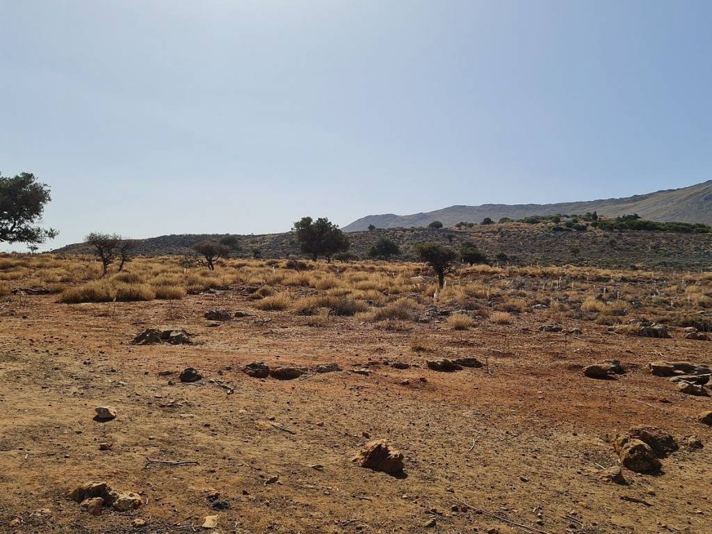 Ktimatomeporiki Huge Land in Kokkino Chorio Apokoronas