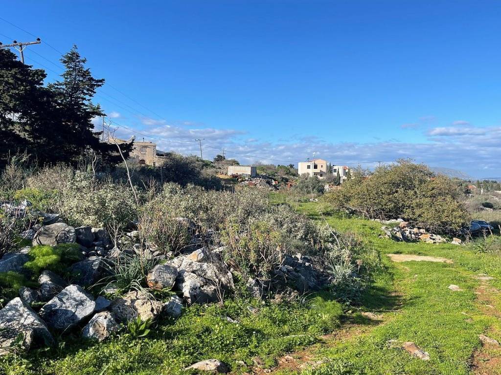 Ktimatoemporiki Land for sale in Sellia Apokoronas