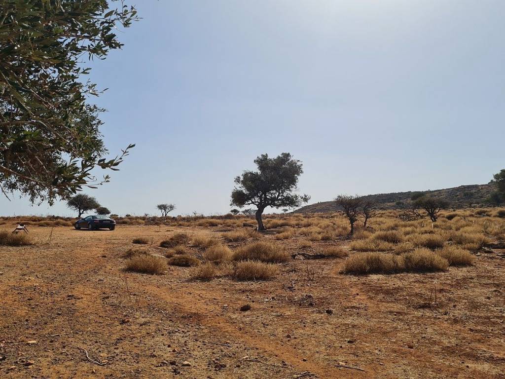 Ktimatomeporiki Huge Land in Kokkino Chorio Apokoronas