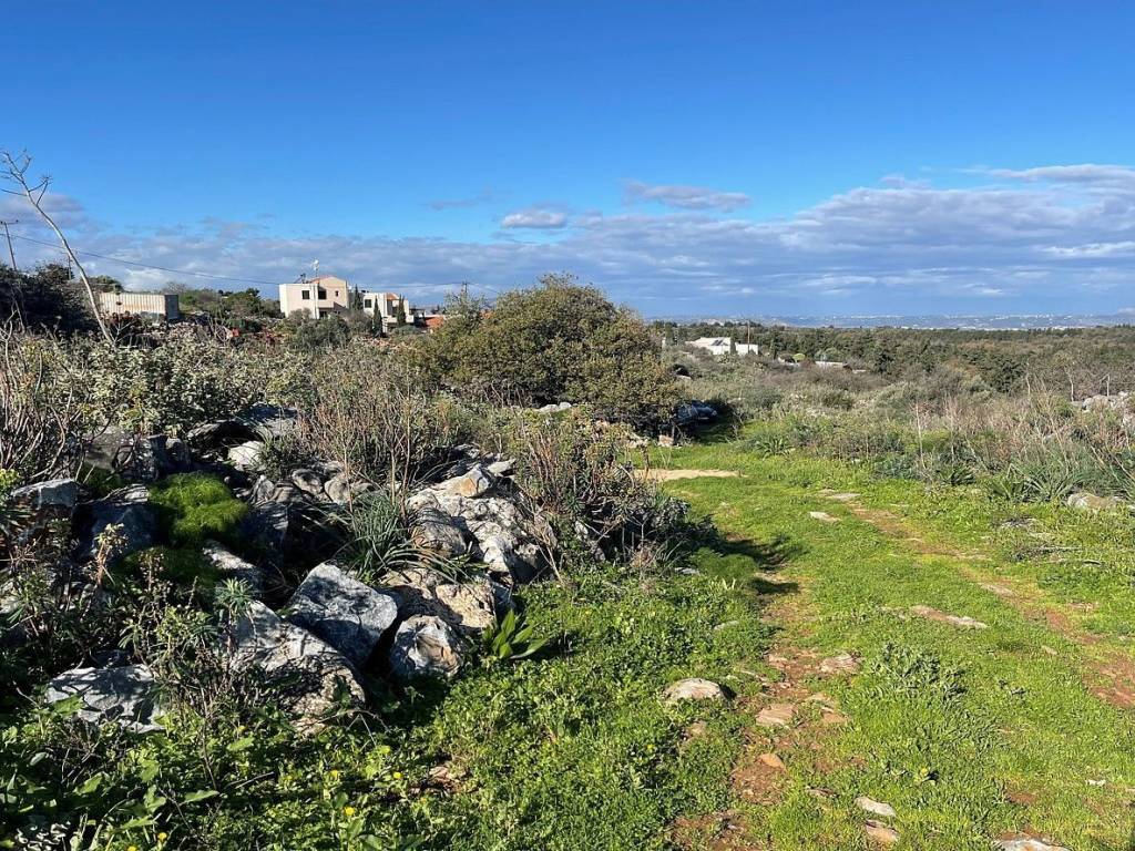 Ktimatoemporiki Land for sale in Sellia Apokoronas