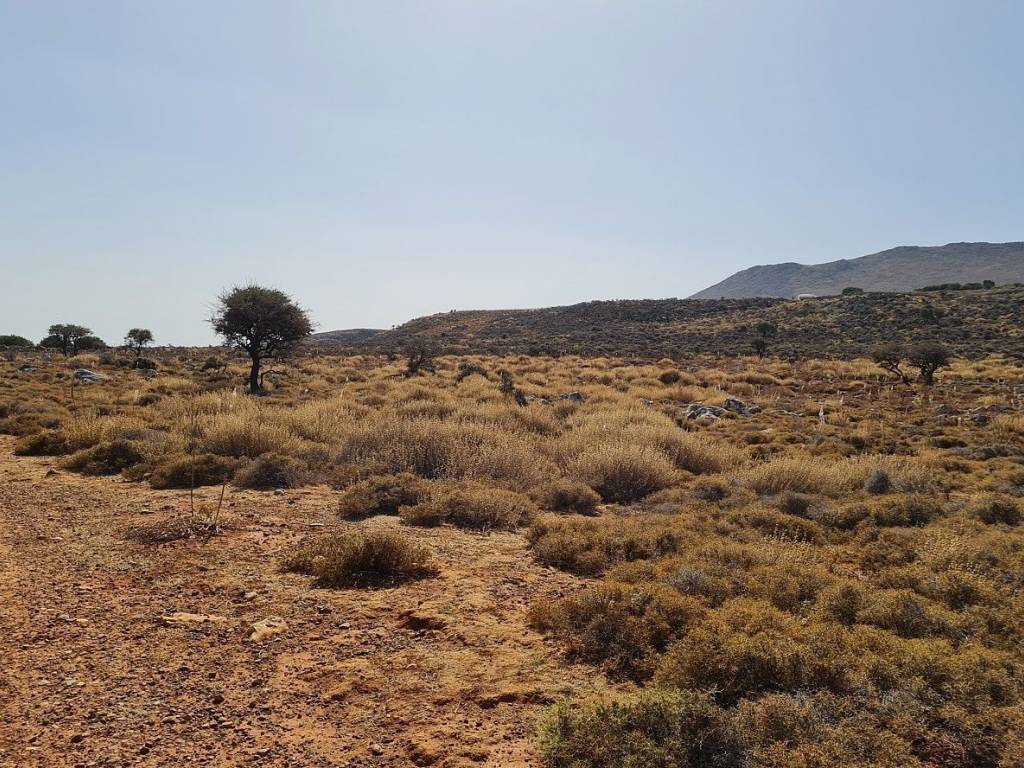 Ktimatomeporiki Huge Land in Kokkino Chorio Apokoronas