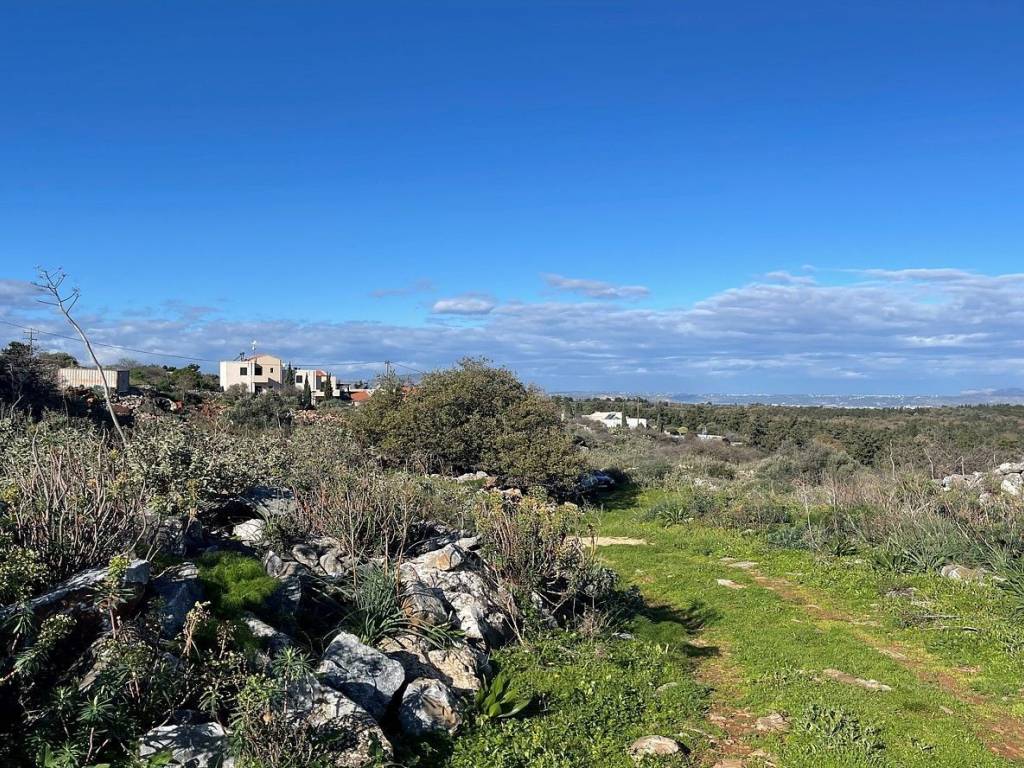 Ktimatoemporiki Land for sale in Sellia Apokoronas