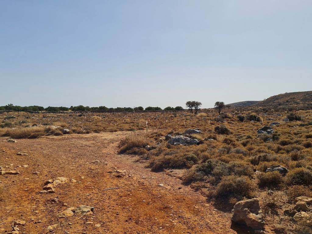 Ktimatomeporiki Huge Land in Kokkino Chorio Apokoronas