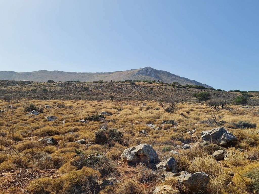 Ktimatomeporiki Huge Land in Kokkino Chorio Apokoronas