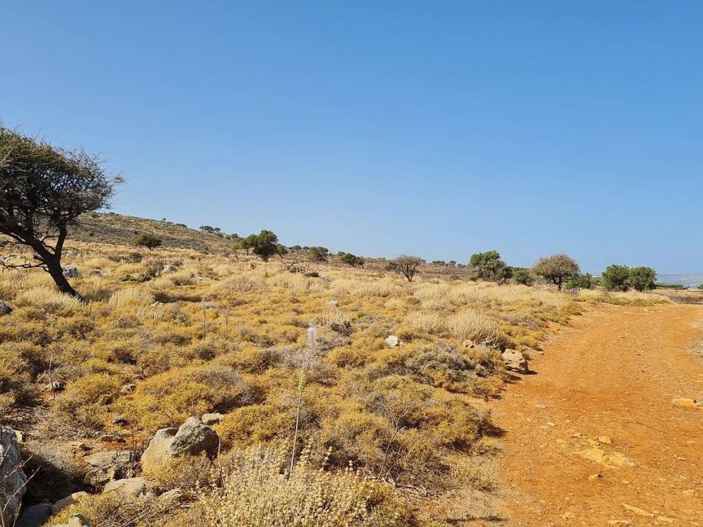 Ktimatomeporiki Huge Land in Kokkino Chorio Apokoronas