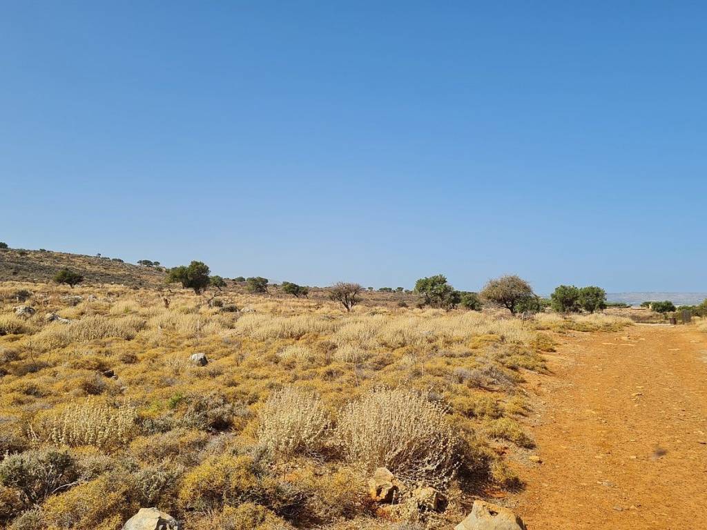 Ktimatomeporiki Huge Land in Kokkino Chorio Apokoronas