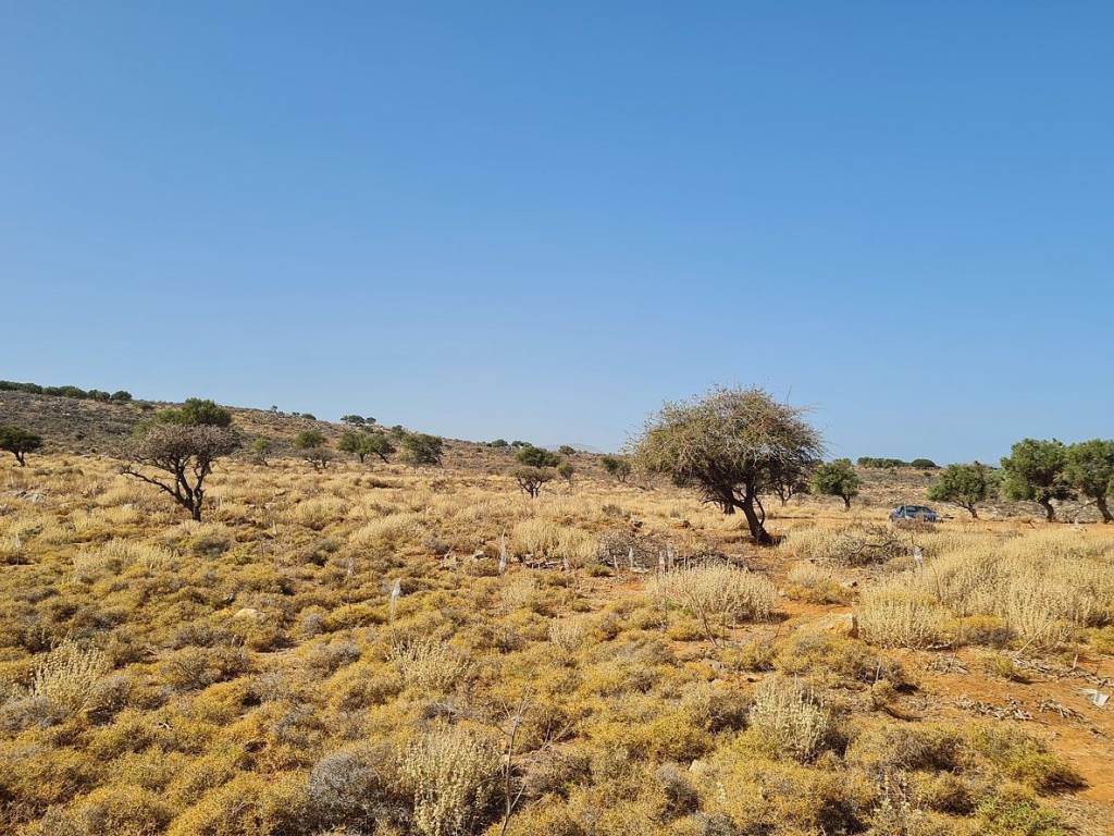 Ktimatomeporiki Huge Land in Kokkino Chorio Apokoronas