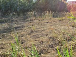 Ktimatoemporiki Maleme Plot for sale Chania